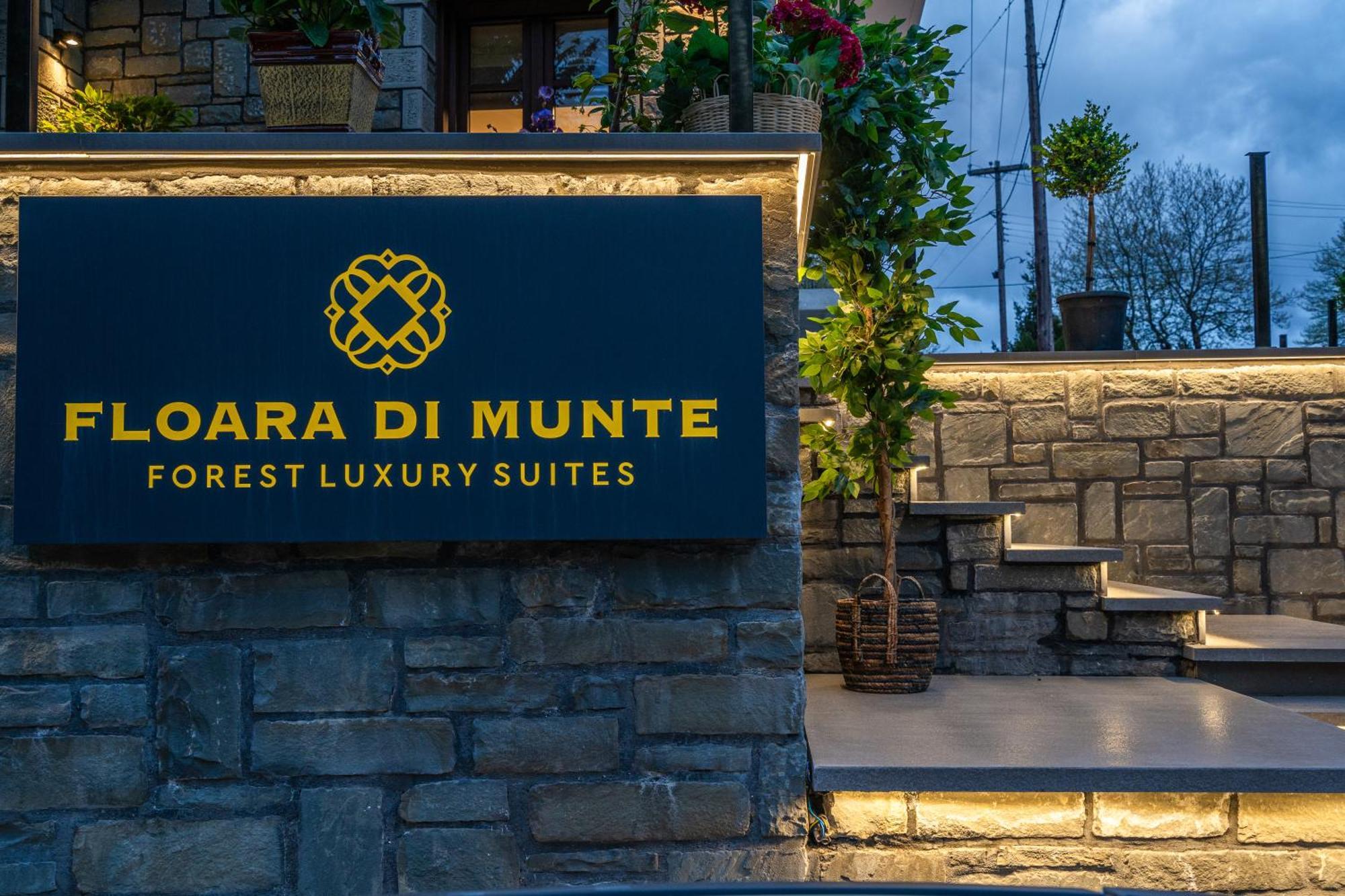 Floara Di Munte Forest Luxury Suites Mețovo Exterior foto